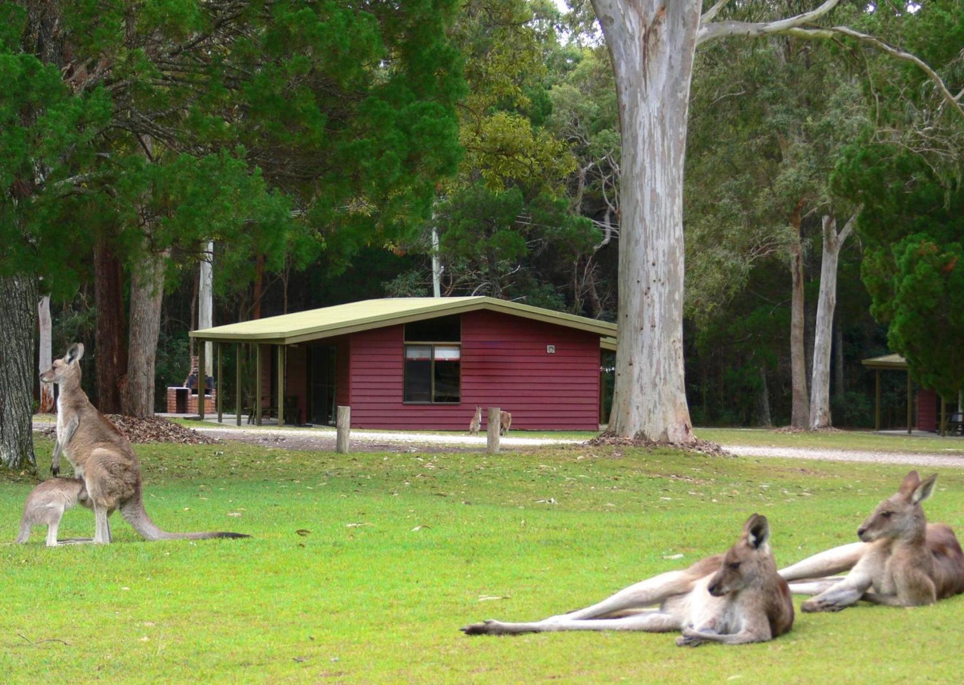 Big4 Noosa North Shore Экстерьер фото