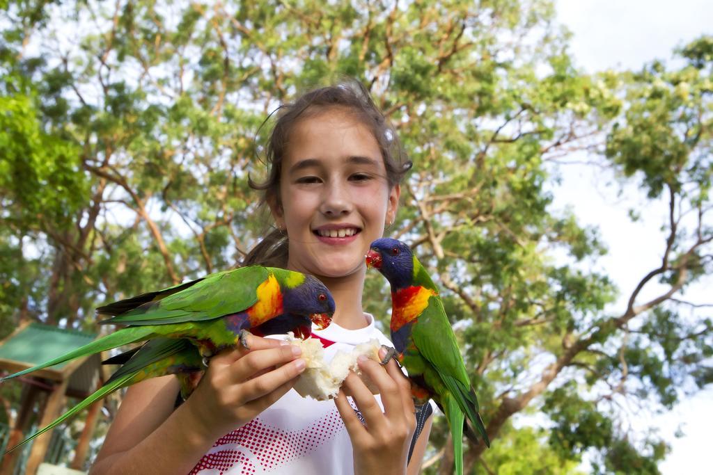 Big4 Noosa North Shore Экстерьер фото